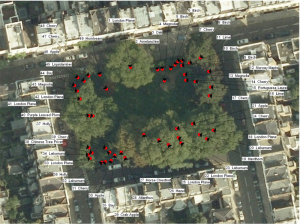 Montpelier Square Trees 2012